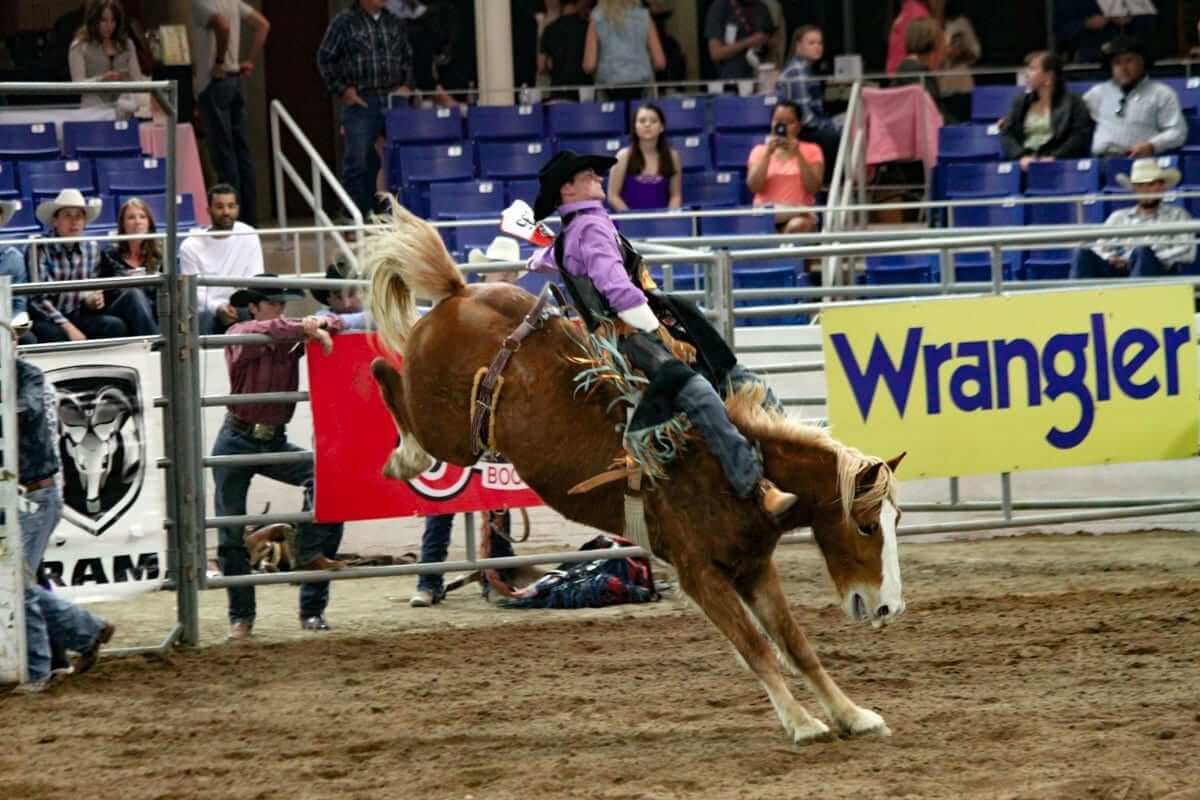 Rodeo Scottsdale - Parada del Sol, 1/1 | Go Country Events