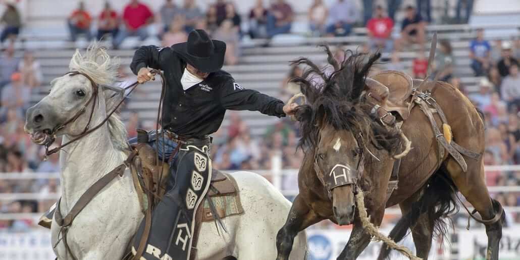 Los Fresnos Rodeo, 1/1 Go Country Events