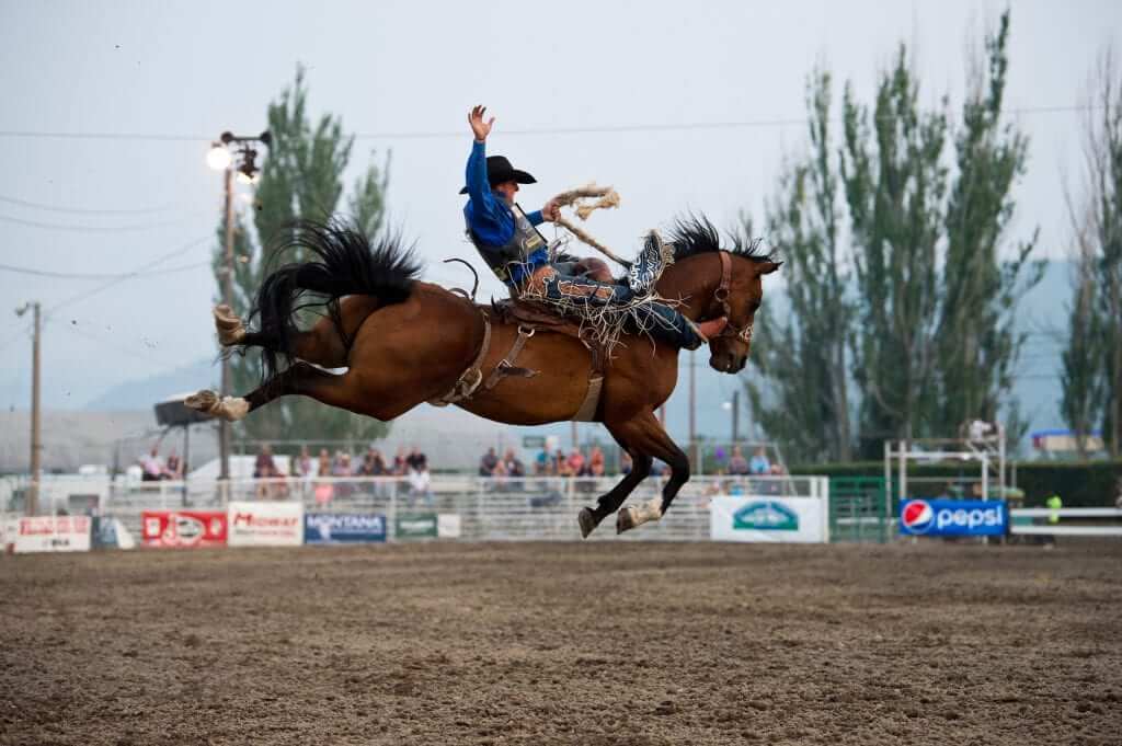 Northwest Montana Fair & Rodeo, 8/188/22 Go Country Events