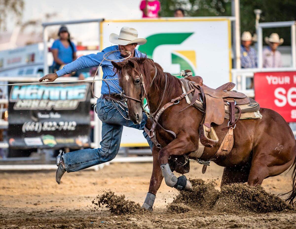 Deep South PRCA Rodeo, 1/1 Go Country Events