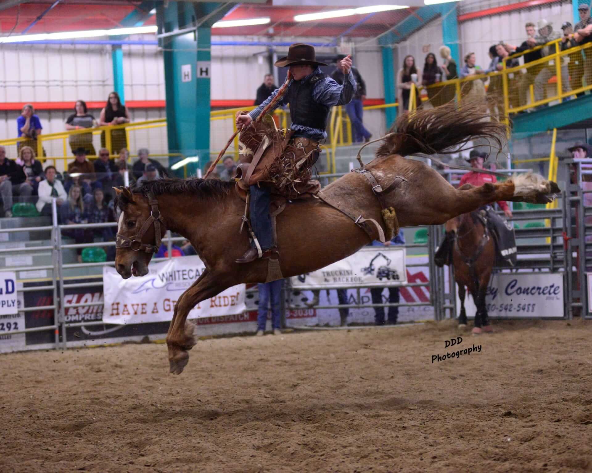 Drayton Valley Pro Rodeo, 8/26-8/28 | Go Country Events