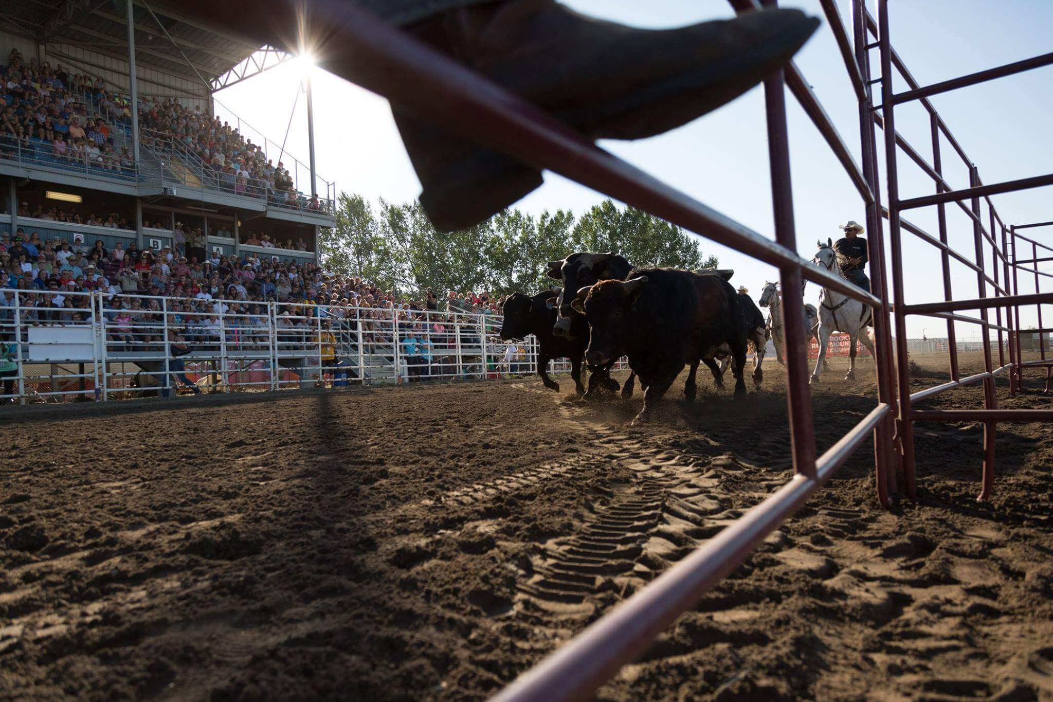 Strathmore Stampede Rodeo & Chucks, 1/1 Go Country Events