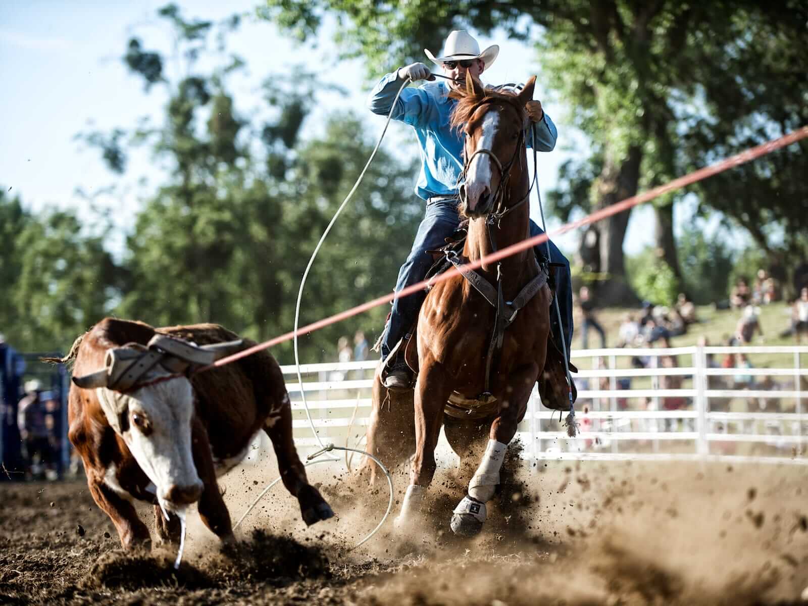 71st Annual PRCA Rodeo, Crossett, AR, 5/296/1 Go Country Events