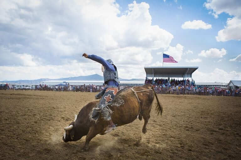 Minnesota Horse Exposition PRCA Rodeo, 7/237/25 Go Country Events