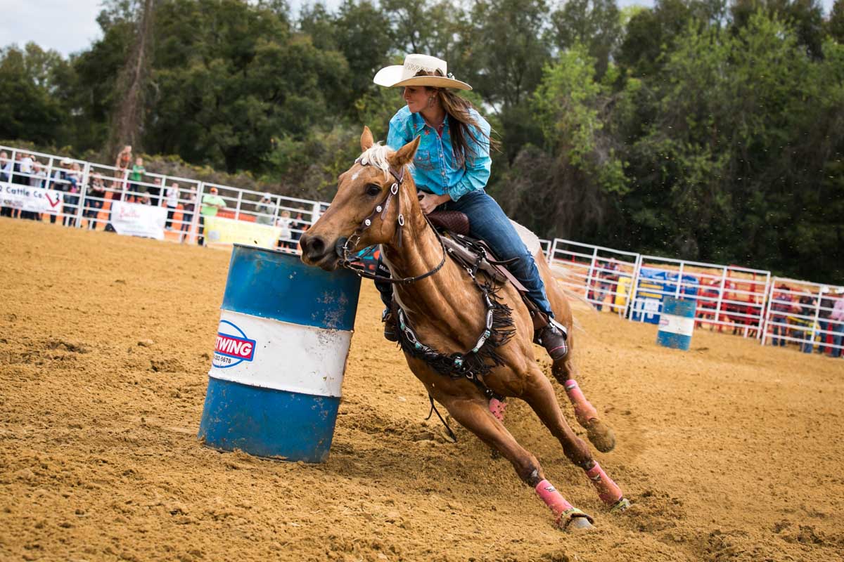 Pasco County Fair Championship Rodeo Dade City FL 2 22 2 23 Go 