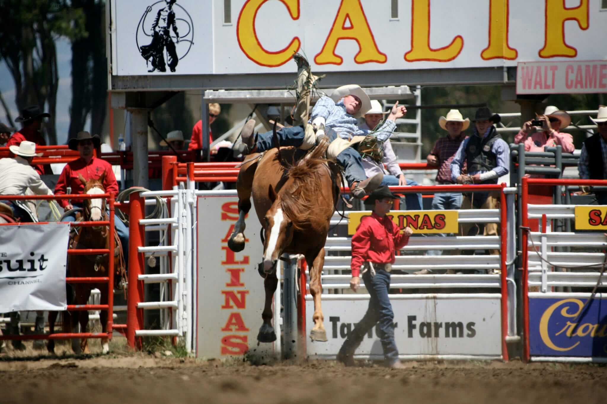 Salinas Valley Wine Country Rodeo, 1/1 Go Country Events