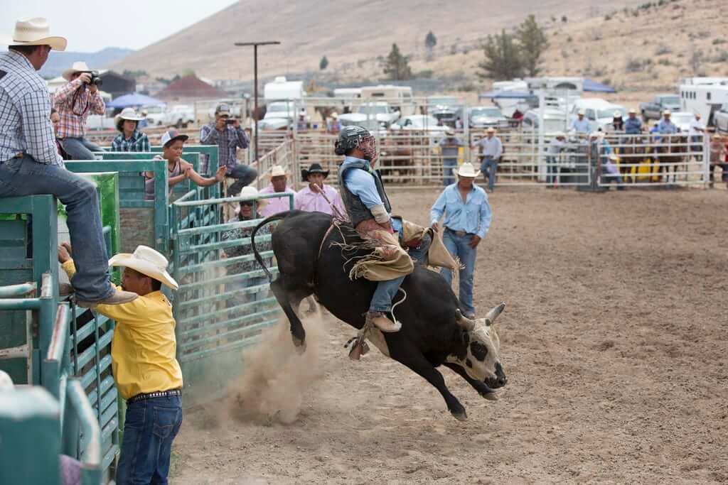 Arizona State Fair AllIndian Rodeo, 1/1 Go Country Events