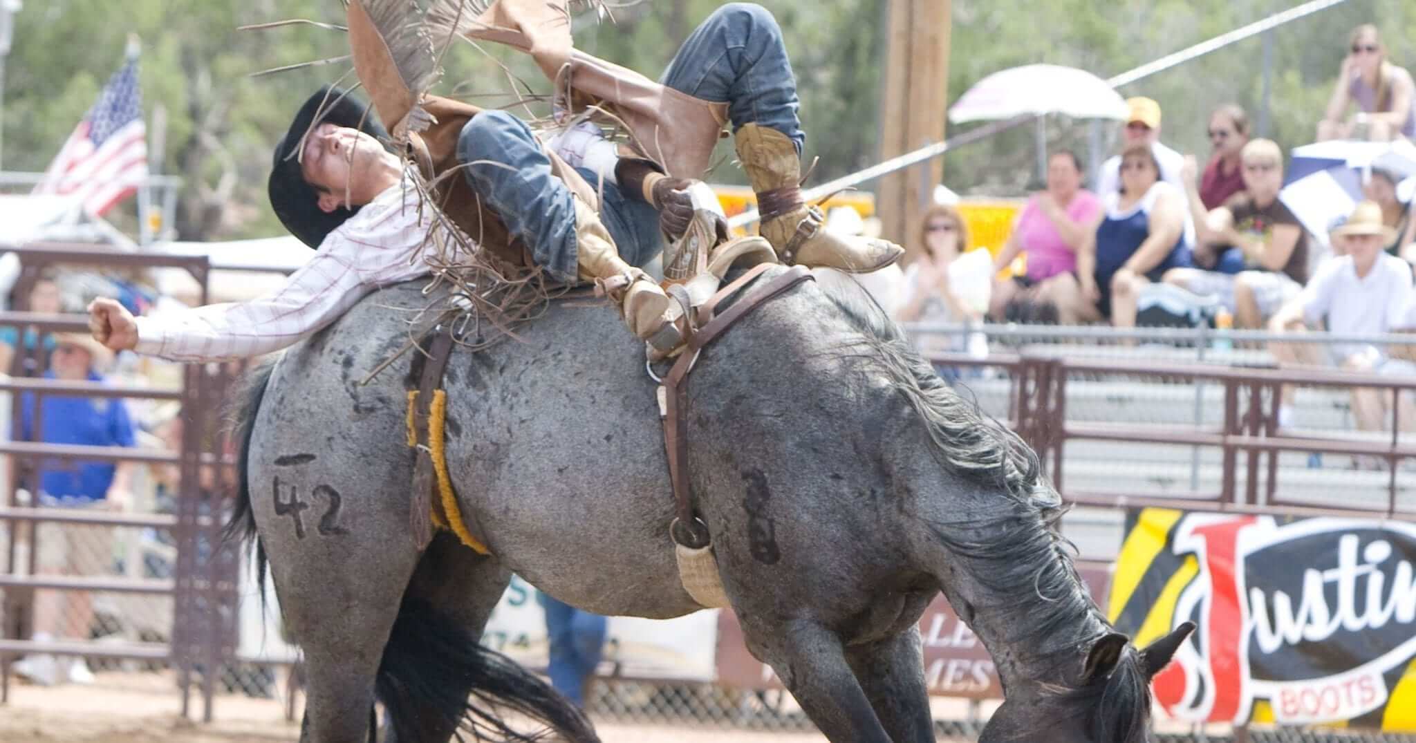 World's Oldest Continuous Rodeo Payson Pro Rodeo, 8/188/22 Go