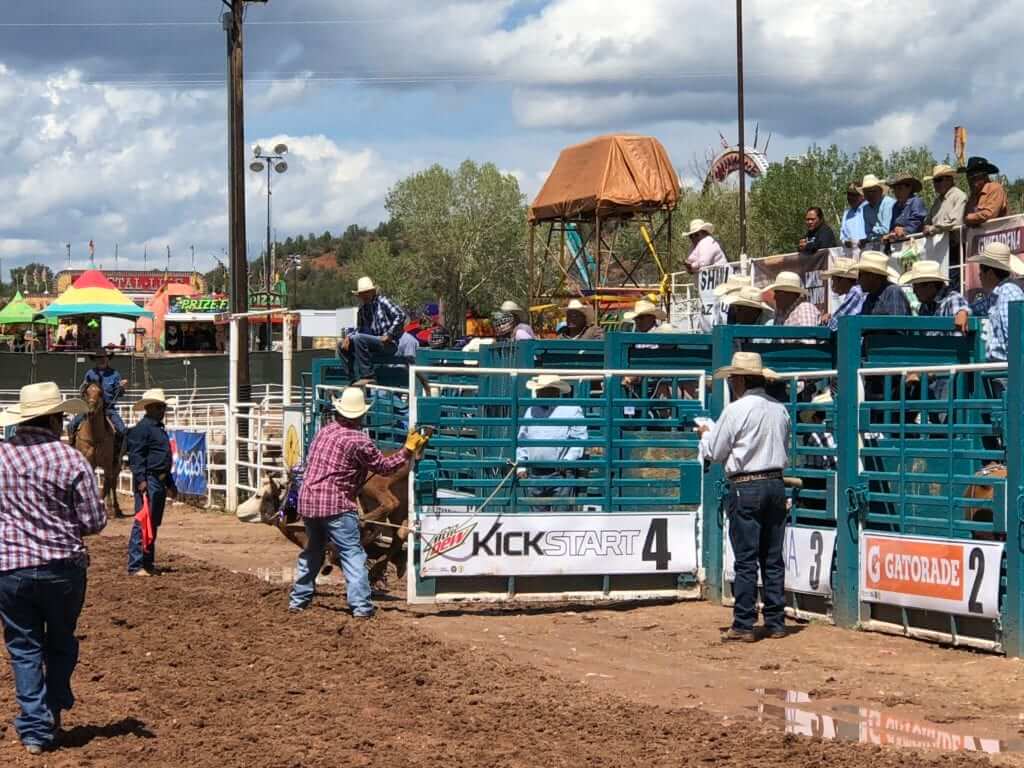 White Mountain Apache Tribal Fair & Rodeo, Whiteriver, AZ, 8/289/1