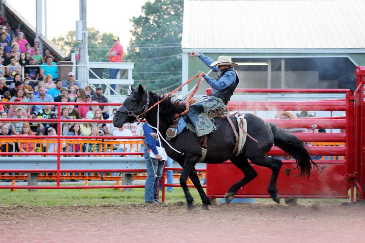 Juneau County Fair Pro Rodeo, 8/158/22 Go Country Events