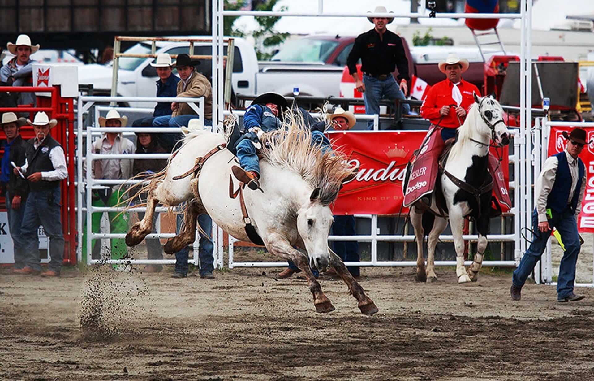 Cloverdale Rodeo And County Fair Surrey Bc 517 520 Go Country Events