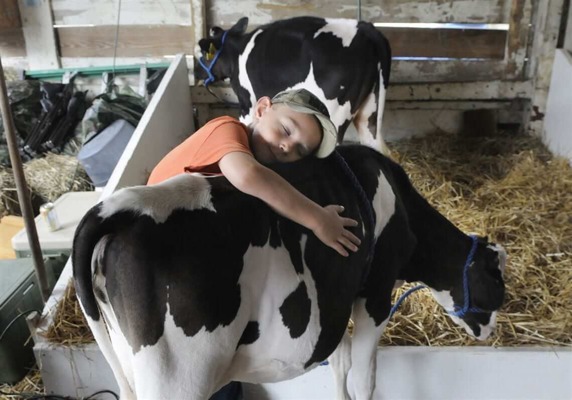 Westmoreland County Fair Rodeo, Greensburg, PA, 8/19 Go Country Events