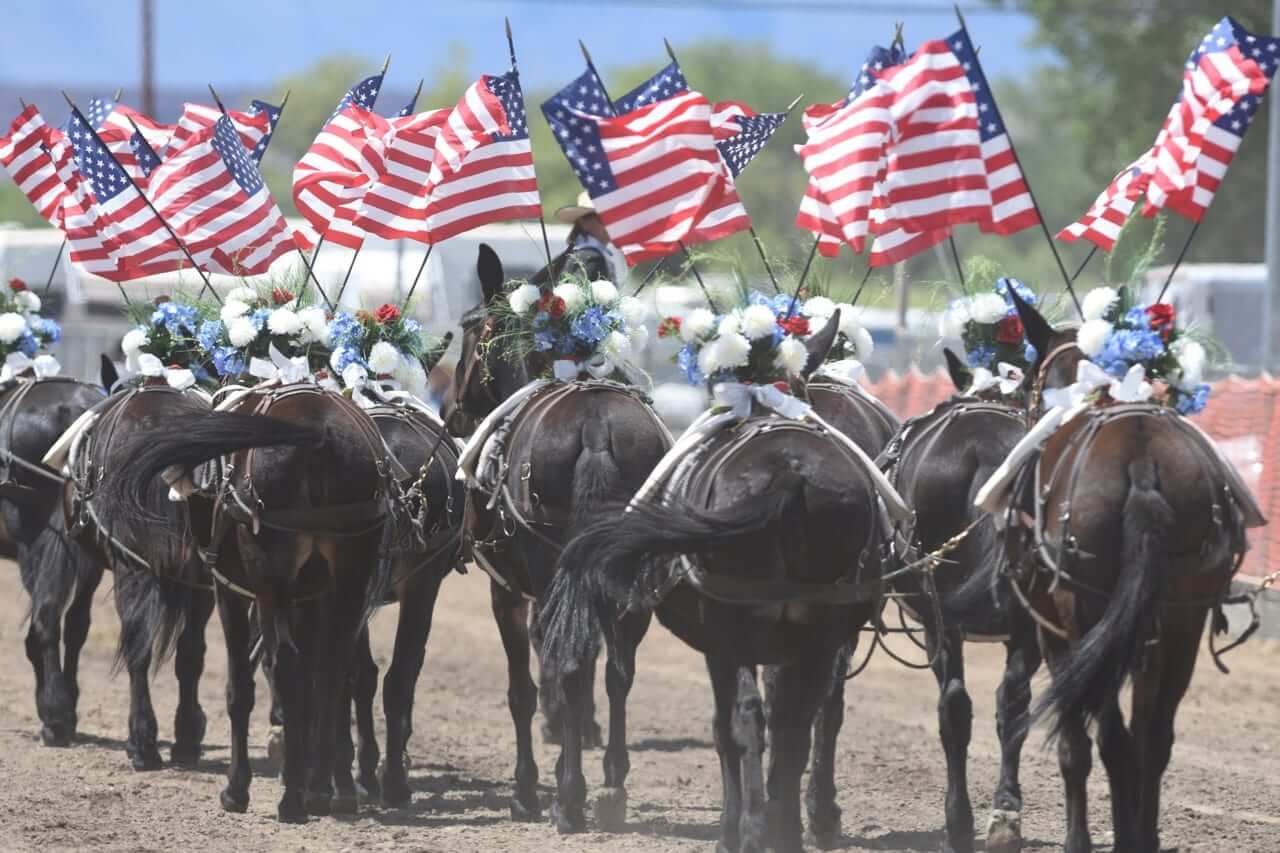 Mule Days, CA, 5/215/26 Go Country Events