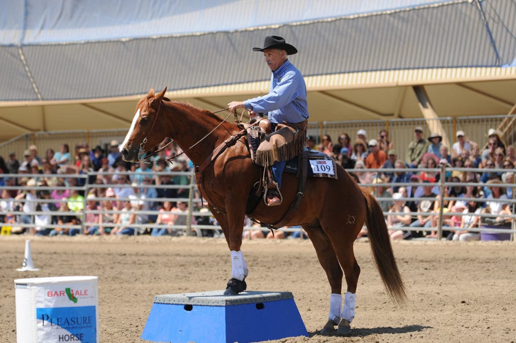 Western States Horse Expo, Pomona, CA, 11/811/10 Go Country Events