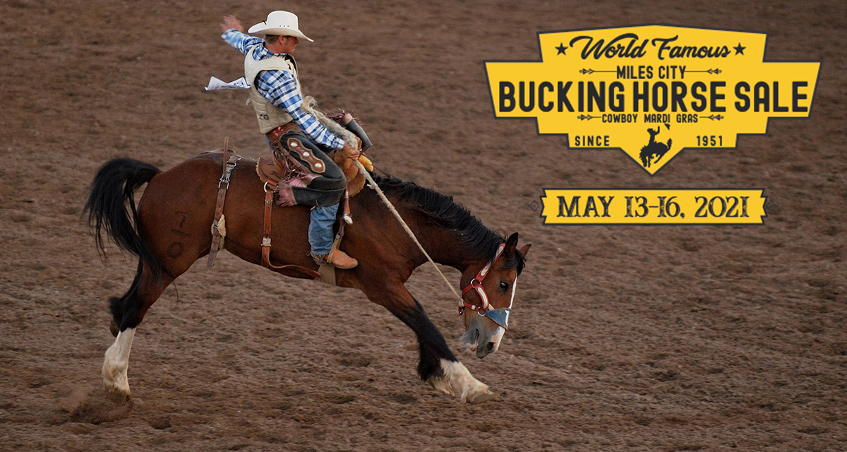 World Famous Miles City Bucking Horse Sale, 5/135/16 Go Country Events