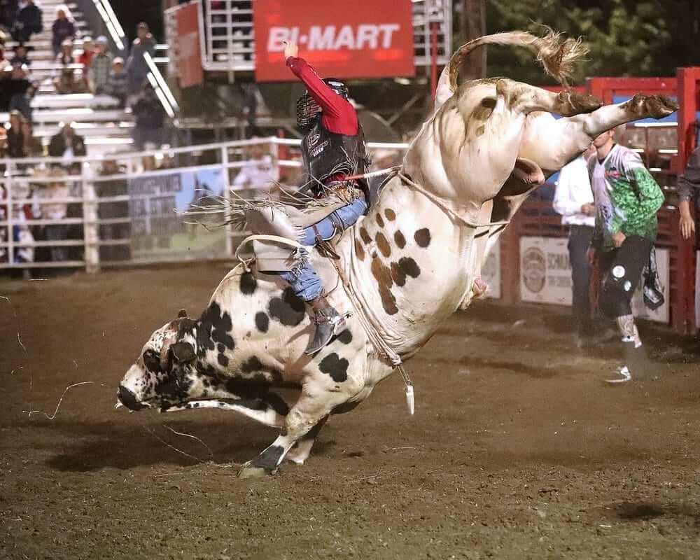 Eugene Pro Rodeo, 7/27/4 Go Country Events