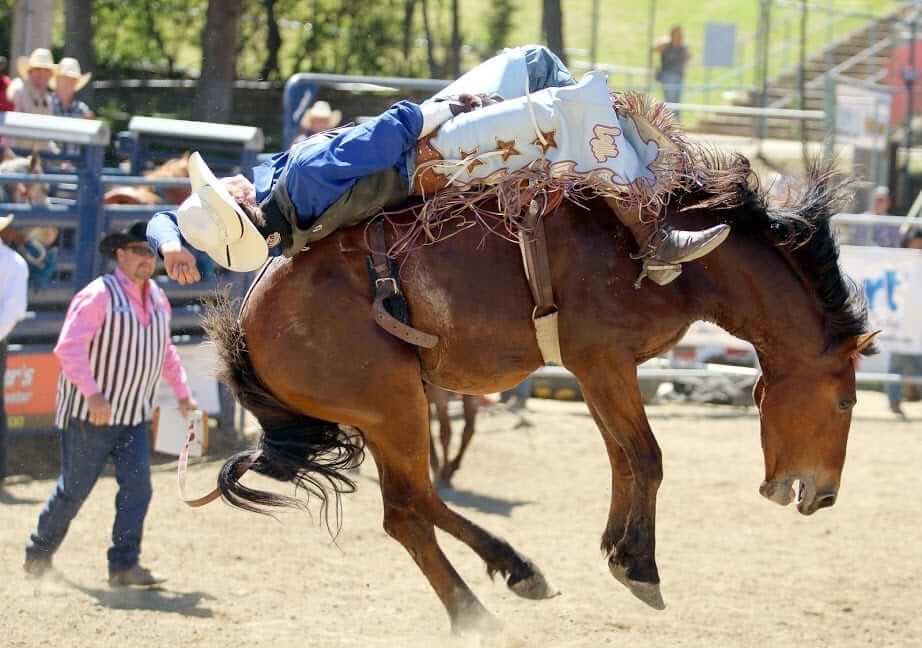 Gold County Pro Rodeo, Auburn, CA, 4/274/28 Go Country Events
