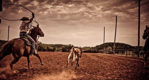 Mineral Wells PRCA Rodeo, 5/13-5/15 | Go Country Events