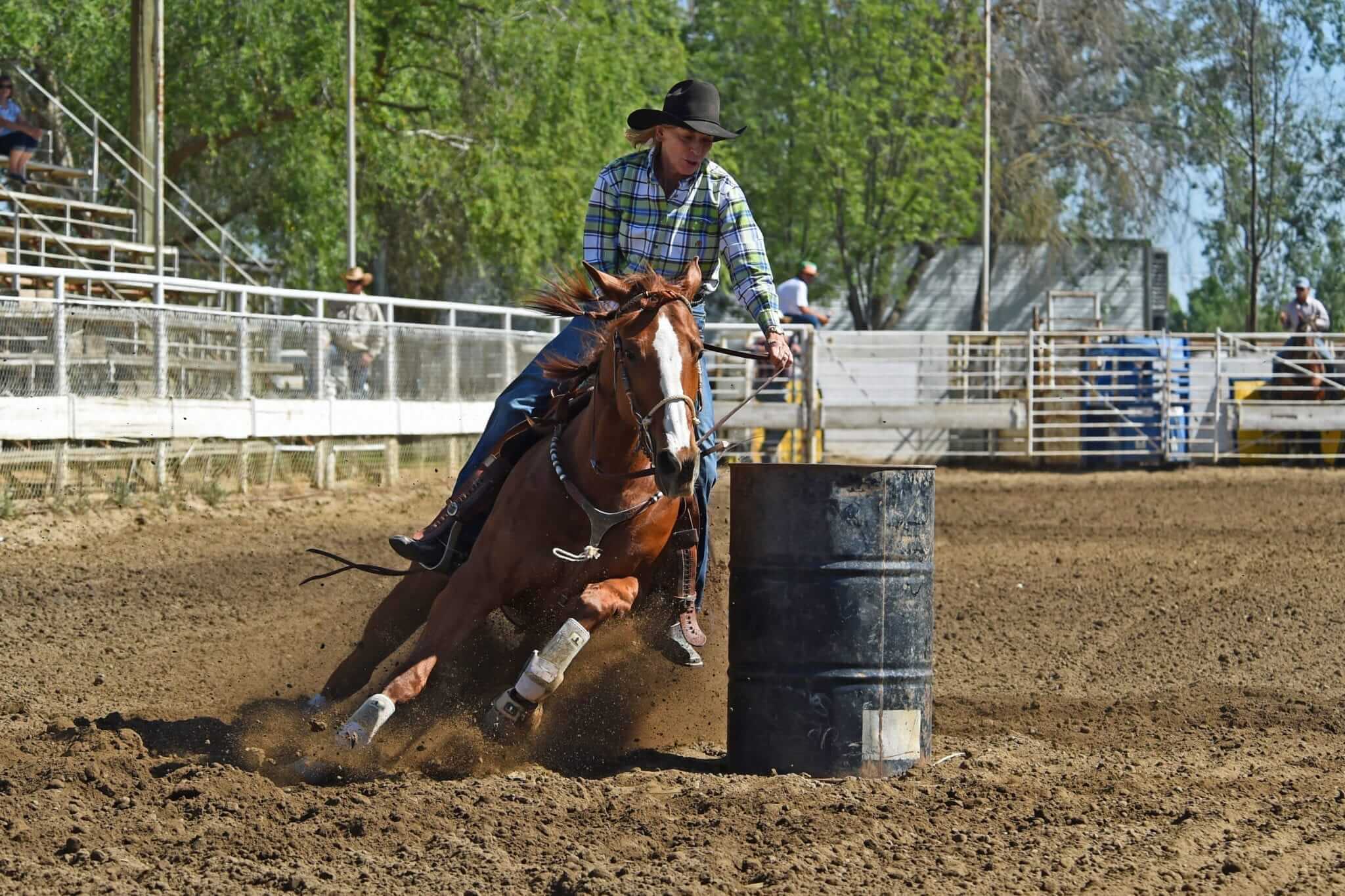Riverdale Rodeo, 1/1 Go Country Events