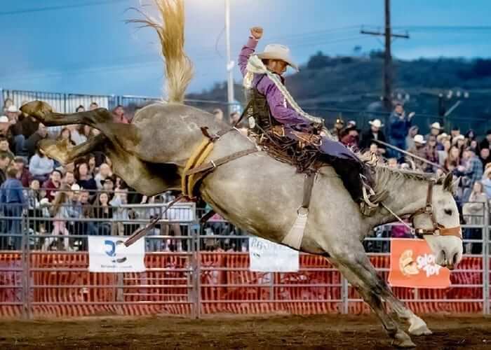 Valley Center Stampede Rodeo, Valley Center, CA, 5/245/25 Go Country