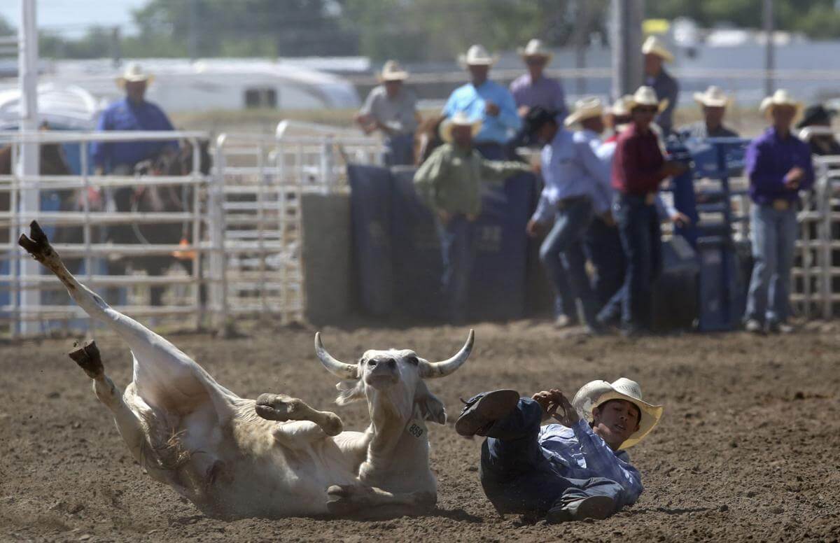 Madison County IPRA Rodeo, 1/1 Go Country Events