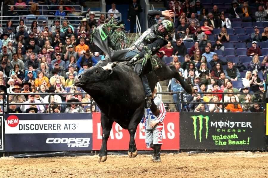 Denver PBR Chute Out at the National Western Stock Show, 1/1 Go