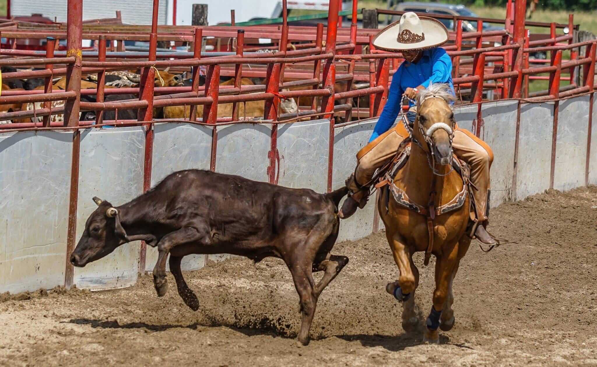 Lenox Stock and Saddle Club Rodeo, Lenox, IA, 7/257/27 Go Country Events