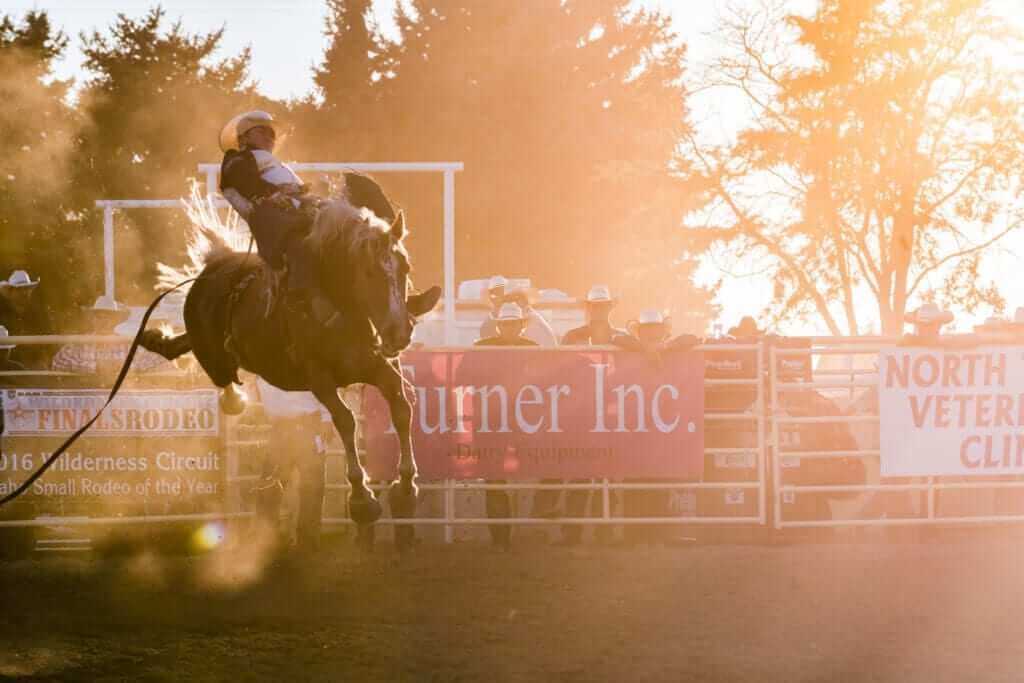 Gooding Pro Rodeo, 8/188/21 Go Country Events