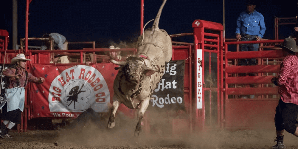 Jefferson County Fair and Pro Rodeo, Brookville, PA, 7/19 Go Country