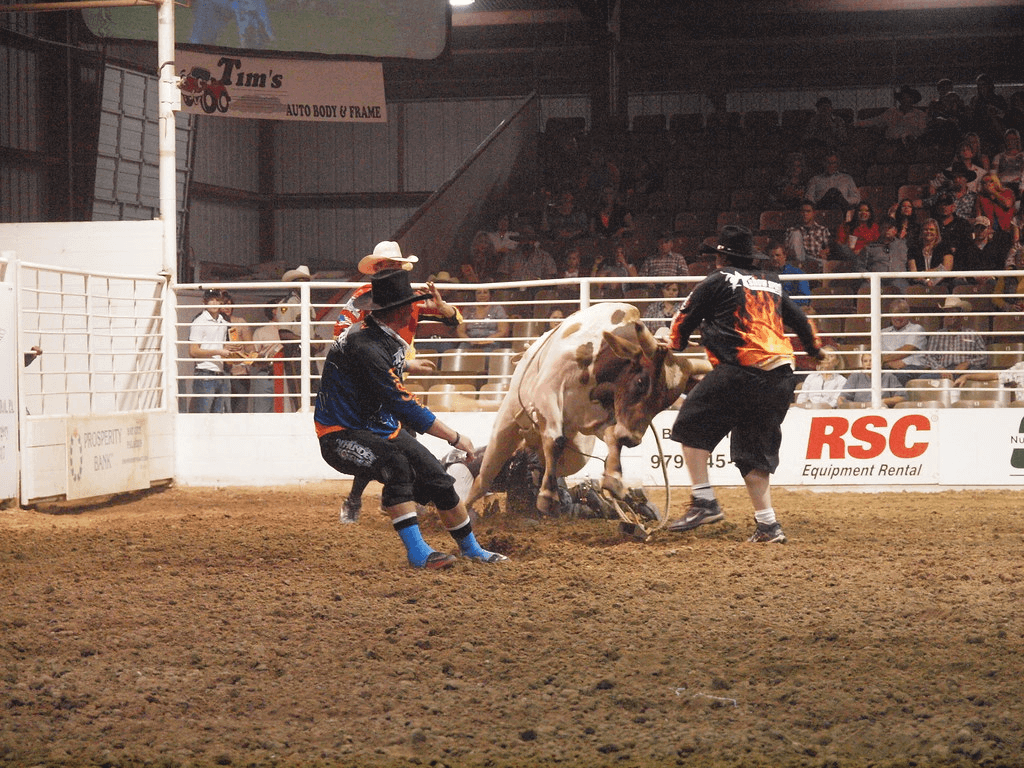 Bay City Open Pro Bull Riding, Bay City, TX, 10/19