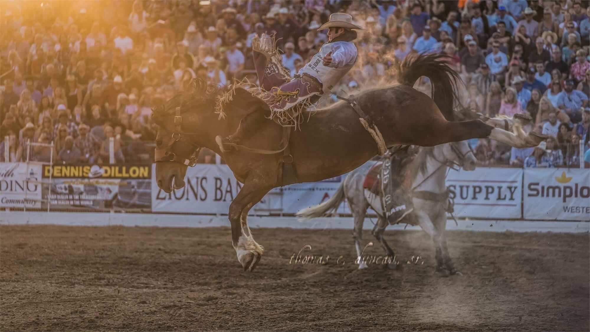 Riata Roundup Rodeo, Lampasas, TX, 4/264/28 Go Country Events