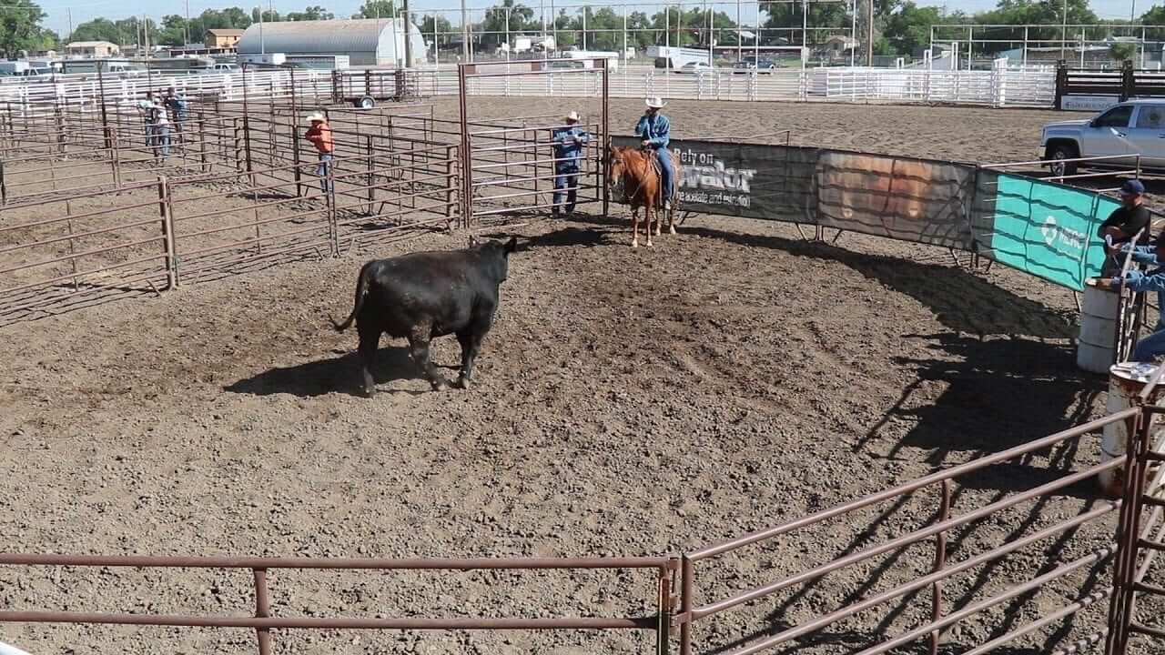 Beef Empire Days PRCA Rodeo, 1/1 Go Country Events