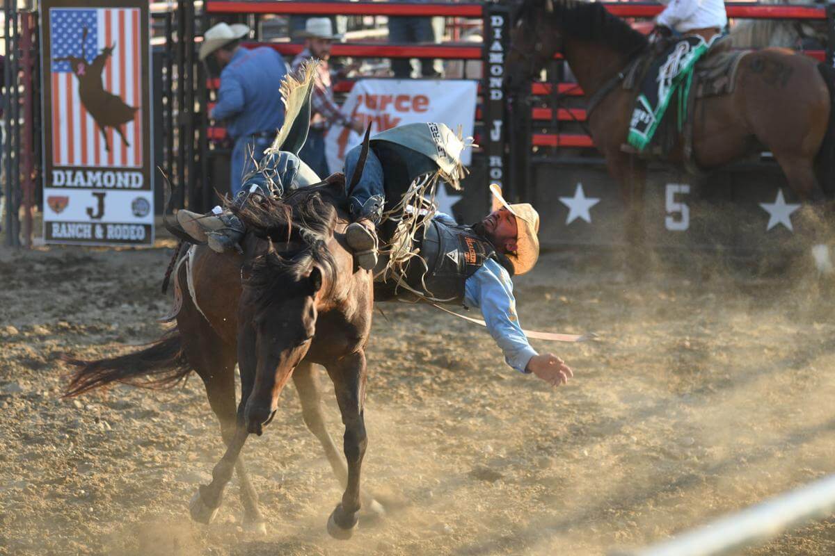 Whitley County 4H Fair and Rodeo, Columbia City, IN, 7/12 Go Country